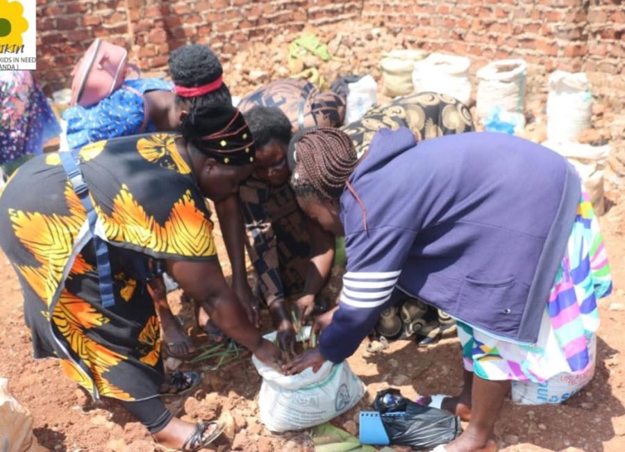 Afrikin in Buikwe, Oeganda: vorming & aanleg van een modeltuin! 736163520_1027074123037607_961891075376311120_n