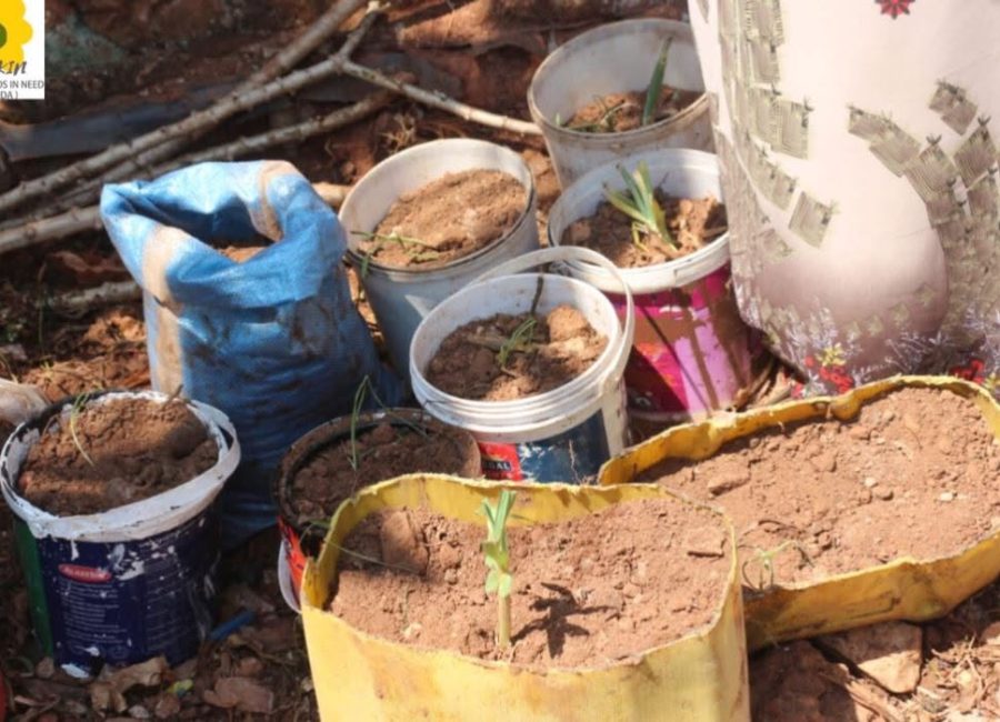 Afrikin in Buikwe, Oeganda: vorming & aanleg van een modeltuin! 736683185_1027074066370946_3846951184094318824_n